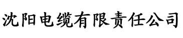 双性美人改造系统1v1电缆厂logo